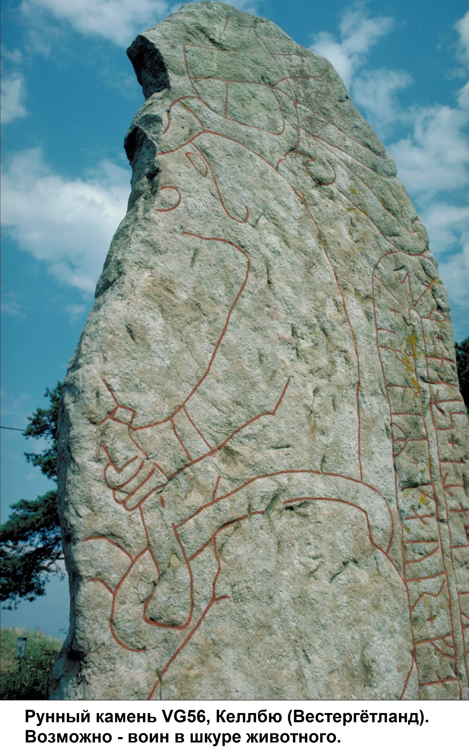 Рунный камень VG56 в Келлбю в Вестергётланде, на котором может быть изображен берсерк в шкуре животного